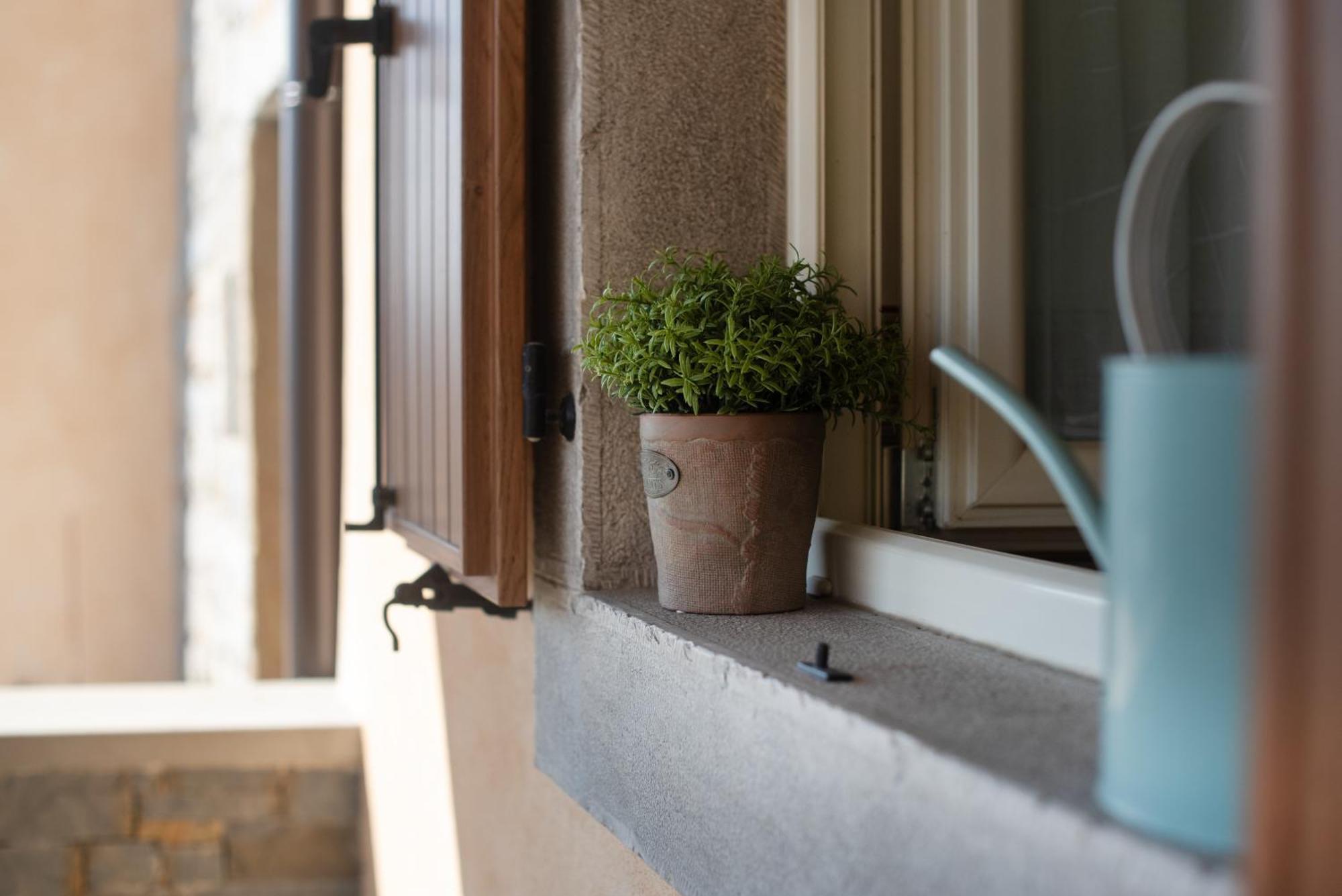 Truffle House Karlic Apartment Buzet Bagian luar foto